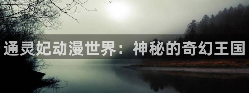 囧次元在线观看：通灵妃动漫世界：神秘的奇幻王国