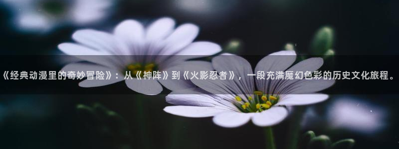 囧次元在哪下：《经典动漫里的奇妙冒险》：从《神阵》到《火影忍者》，一段充满魔幻色彩的历史文化旅程。