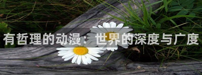 囧次元 下载：有哲理的动漫：世界的深度与广度