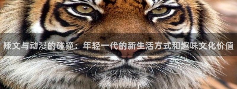 囧次元官方下载：辣文与动漫的碰撞：年轻一代的新生活方式和趣味文化价值
