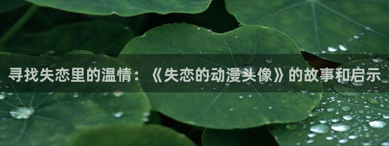 囧次元app正版：寻找失恋里的温情：《失恋的动漫头像》的故事和启示