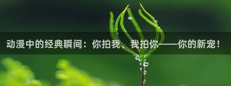 囧次元免费：动漫中的经典瞬间：你拍我、我拍你——你的新宠！